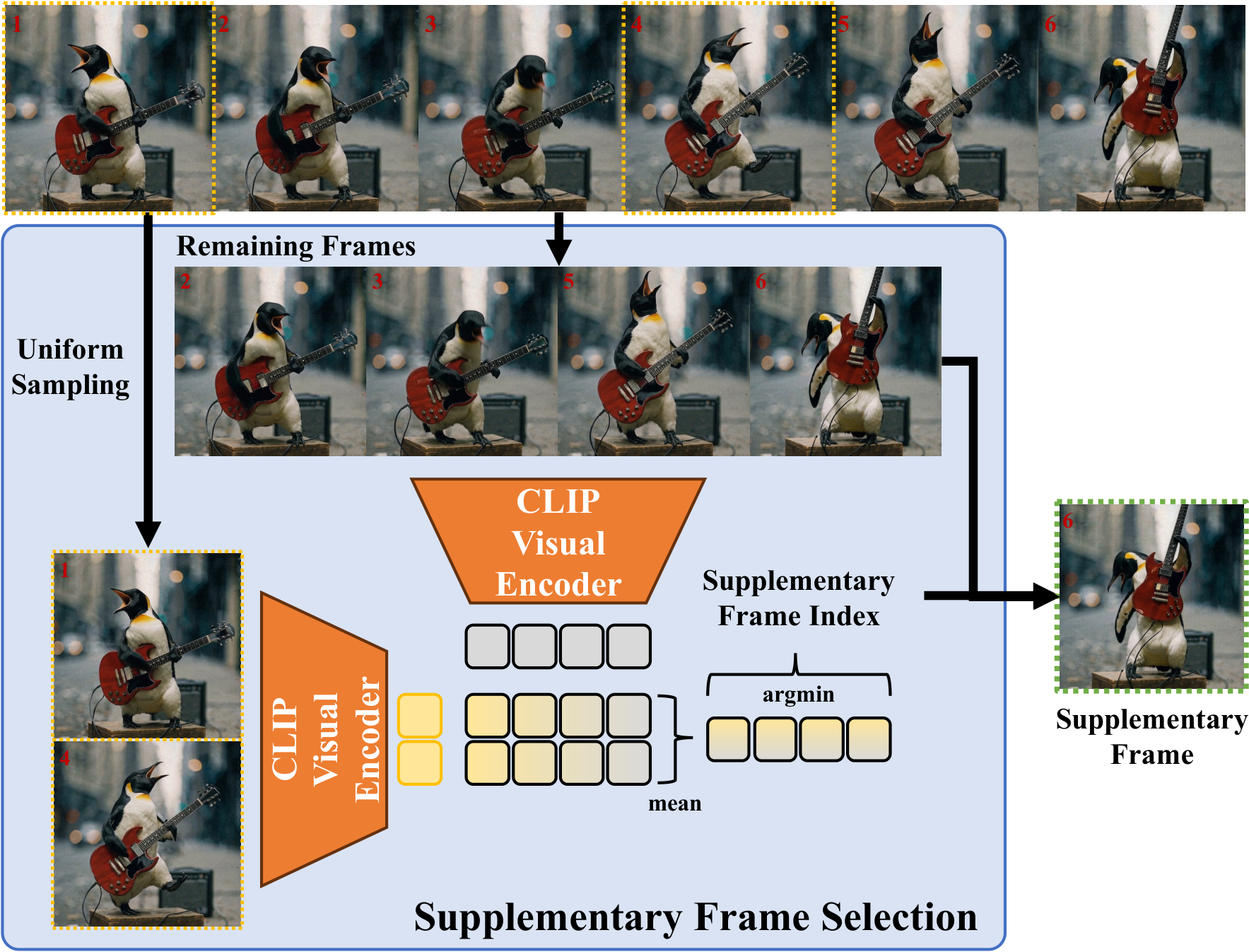 Supplementary Frame Selection