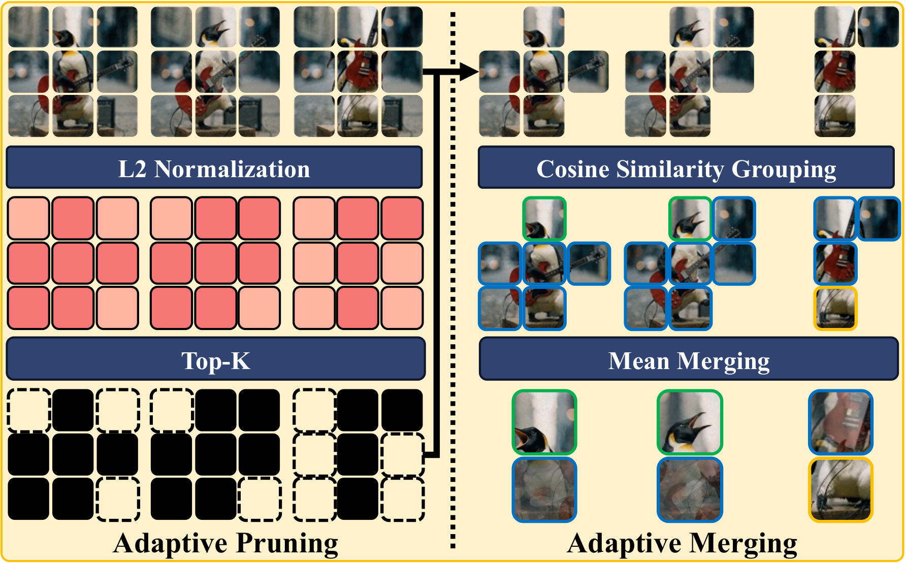Spatial Token Pruning and Merging