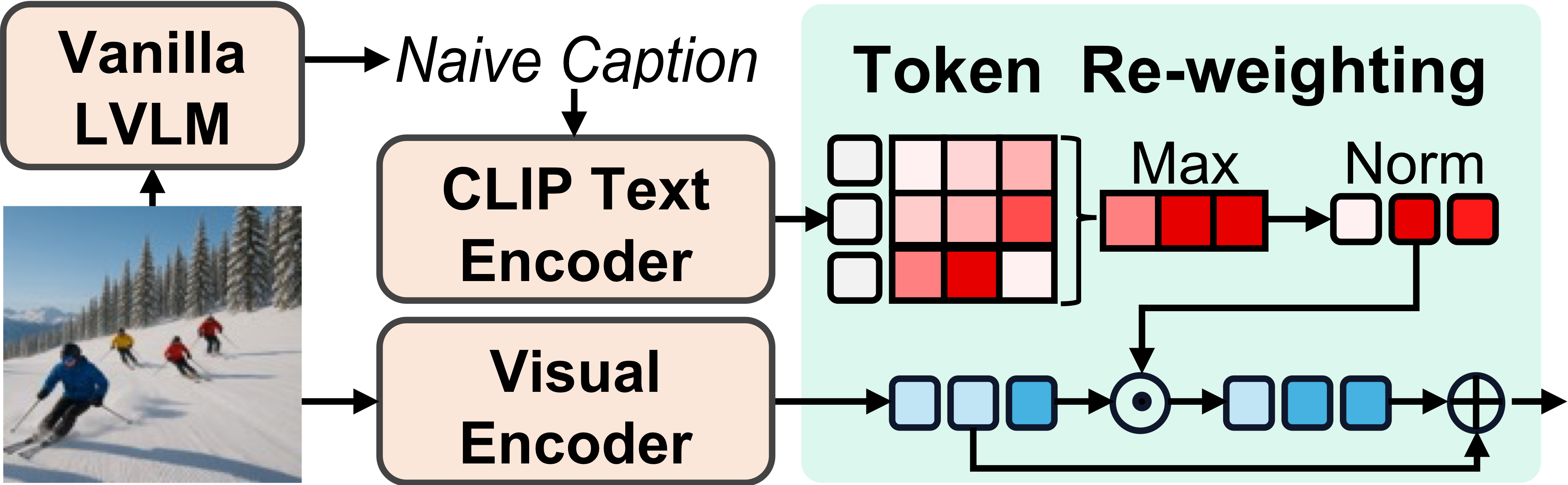 Token Re-weighting module